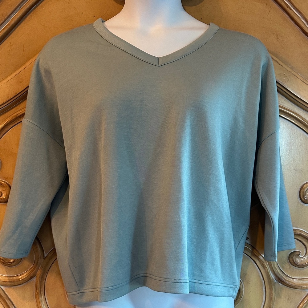NWT V-Neck Light Sage Sweatshirt